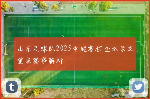 山东足球队2025中超赛程全记录及重点赛事解析