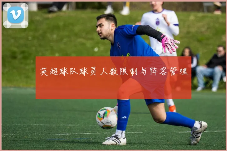 英超球队球员人数限制与阵容管理