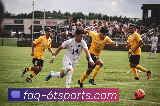 意甲球队对待杯赛的态度：轮换、放弃或全力争夺？